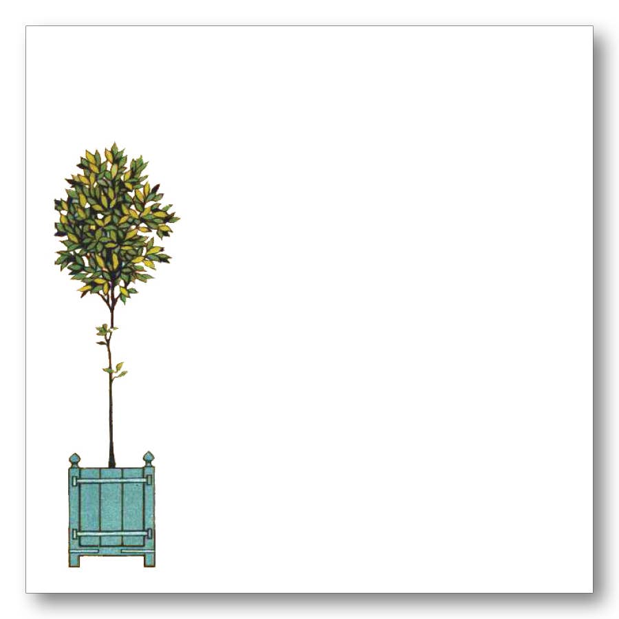 Topiary L'Orangerie Note Block wih Bamboo Pen | Maison de Papier