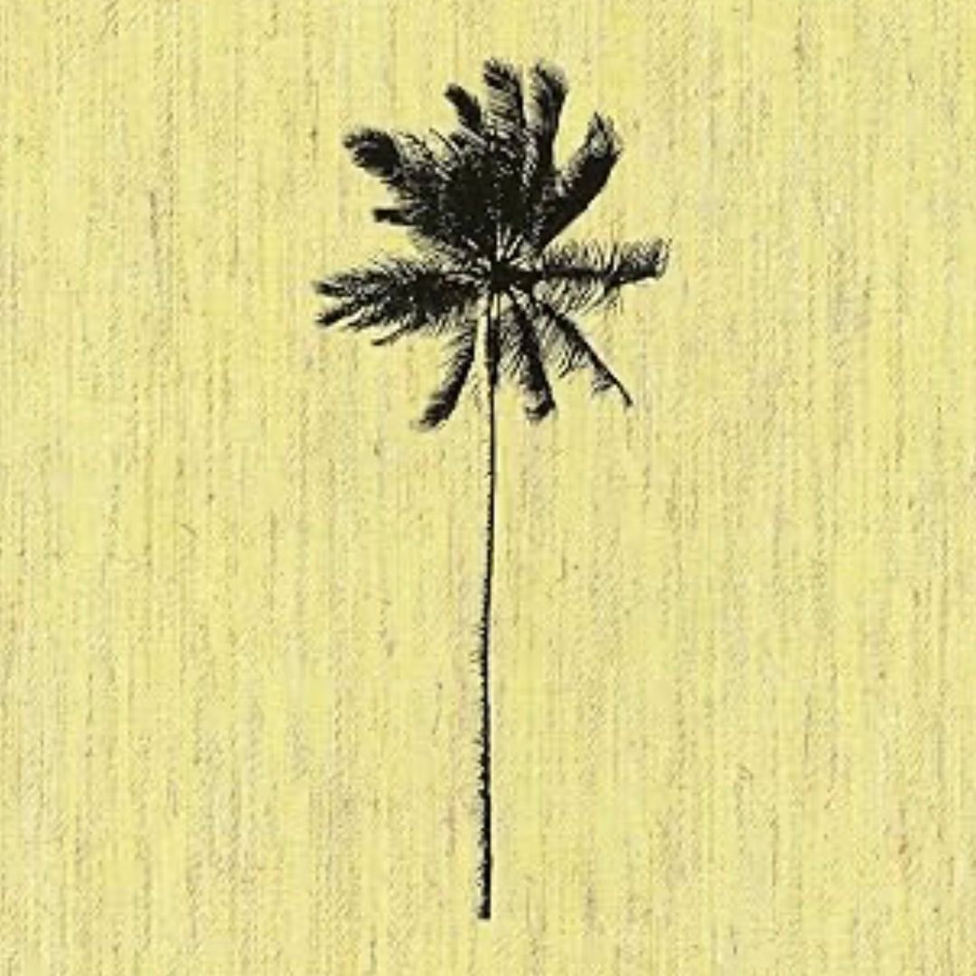 "Decoding Palm Culture" Book