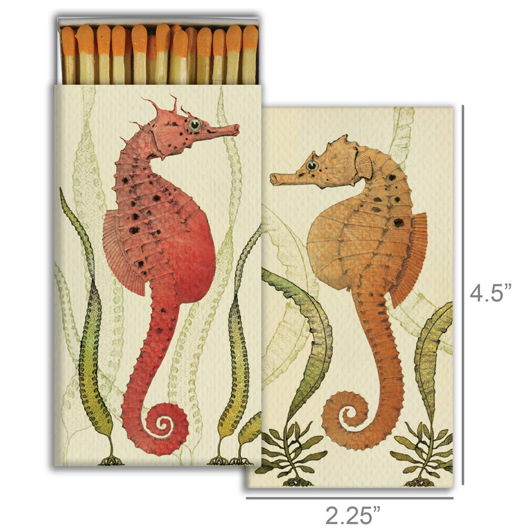 Matches, Seahorses