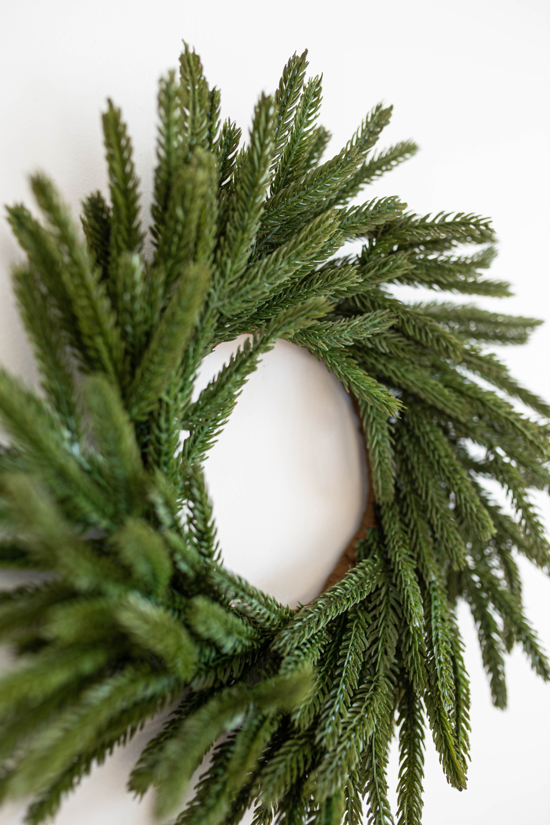 Norfolk Pine Wreath 12"