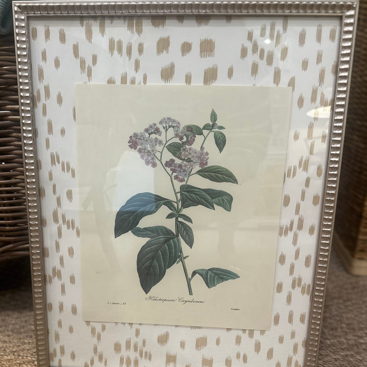 Framed Botanical Print with Brunschwig and Fils Matting