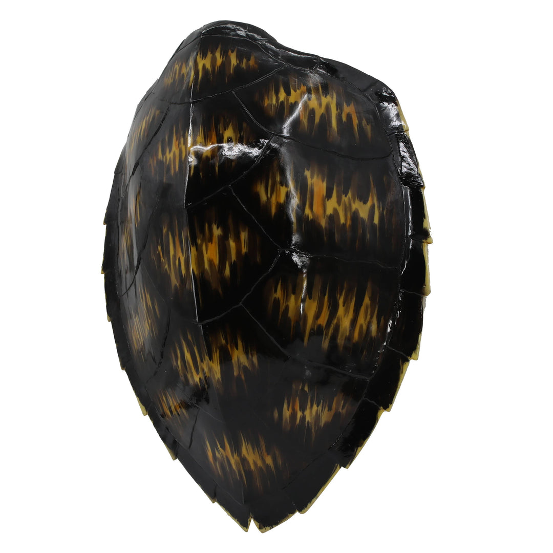 Faux Hawksbill Turtle Shell