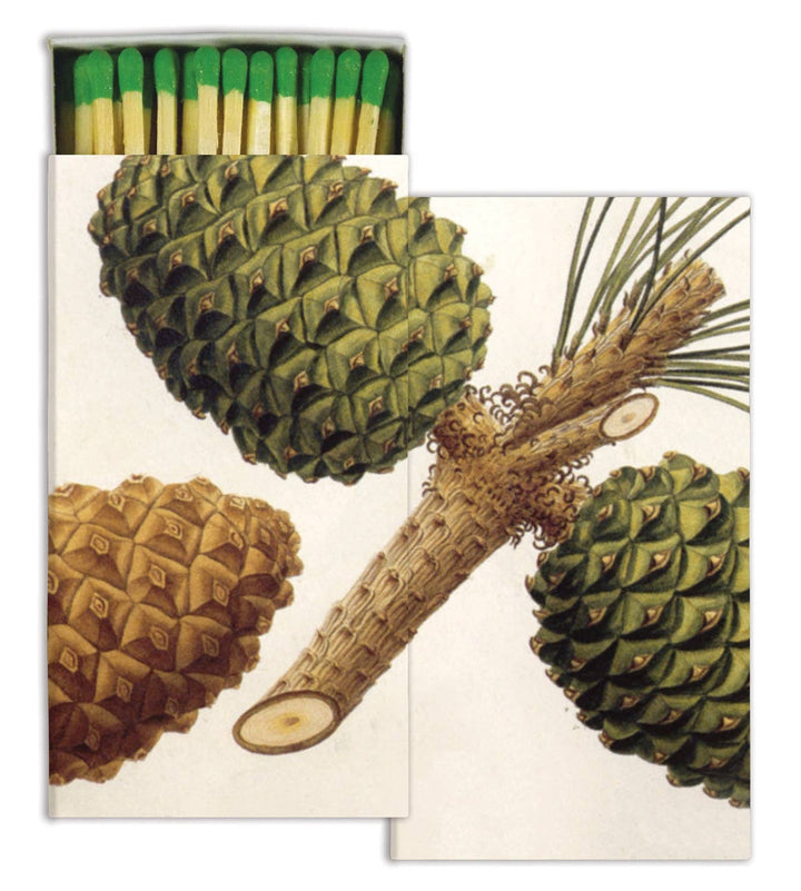 Matches, Pinecones