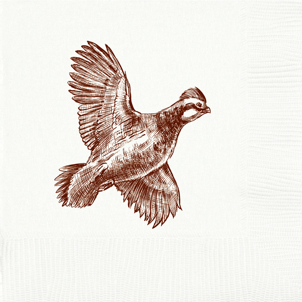 Quail Beverage Napkins | Alexa Pulitzer