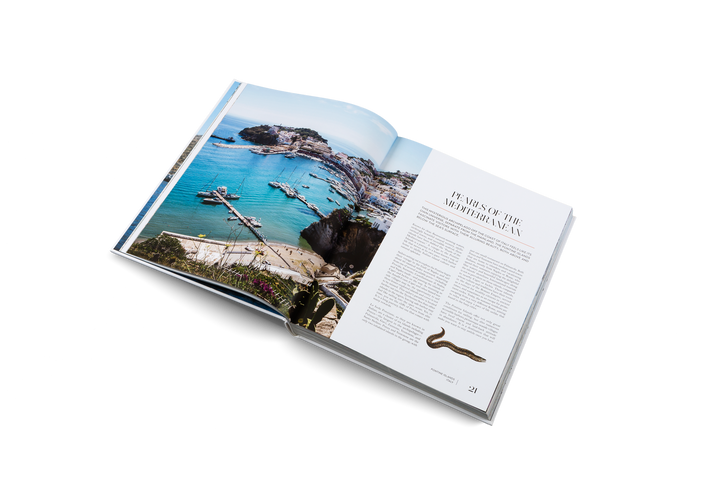 "Sailing the Seas" Book