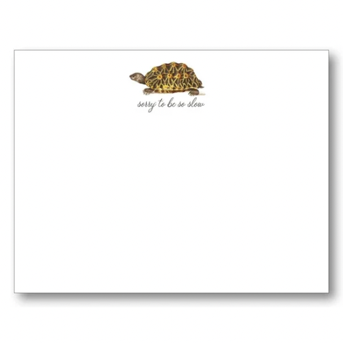 'Sorry to be Slow' Tortoise Flat Card & Envelope Set S/8