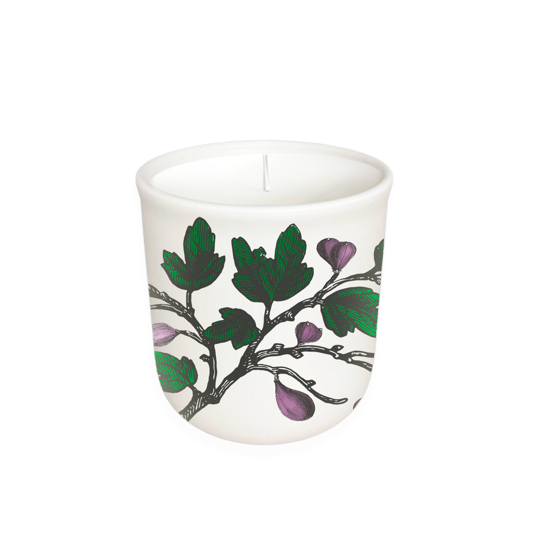 Fig Tree Terrace Collection Candle