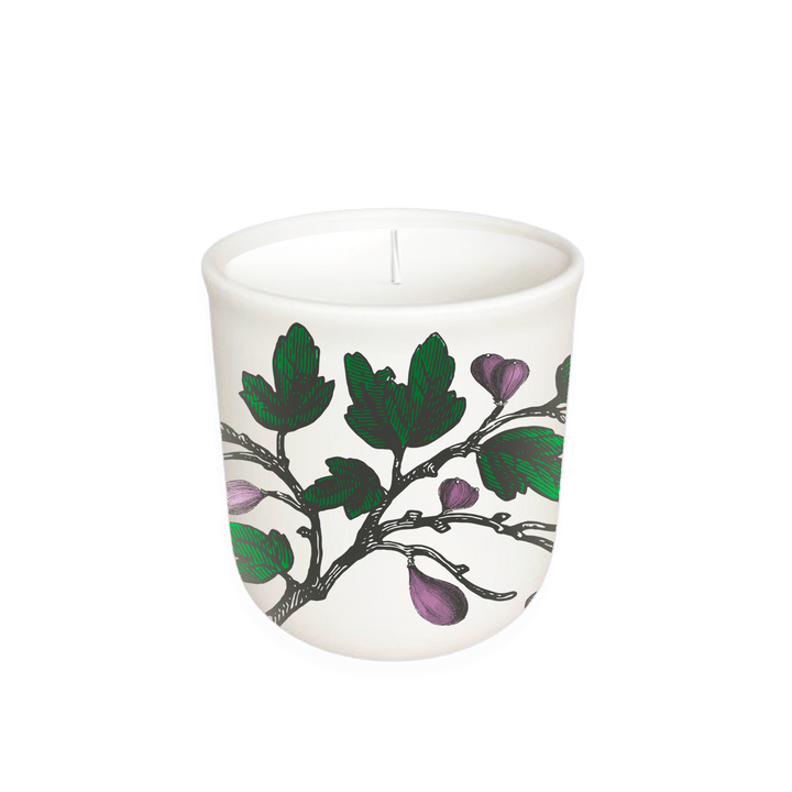 Fig Tree Terrace Collection Candle