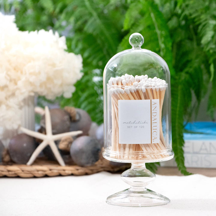 Glass Cloche with White Matches