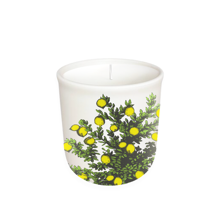 Lemon Tree Terrace Collection Candle