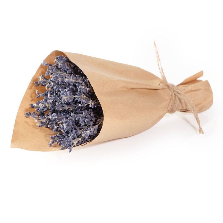 French Lavender Bundle, Mini