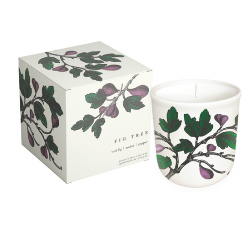 Fig Tree Terrace Collection Candle
