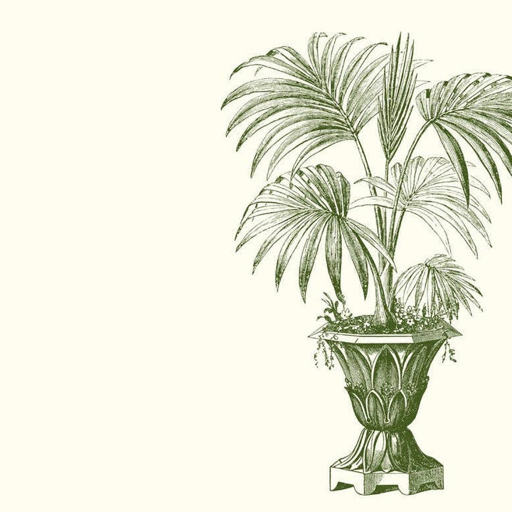 Palm Urn A2 Card Set | Alexa Pulitzer