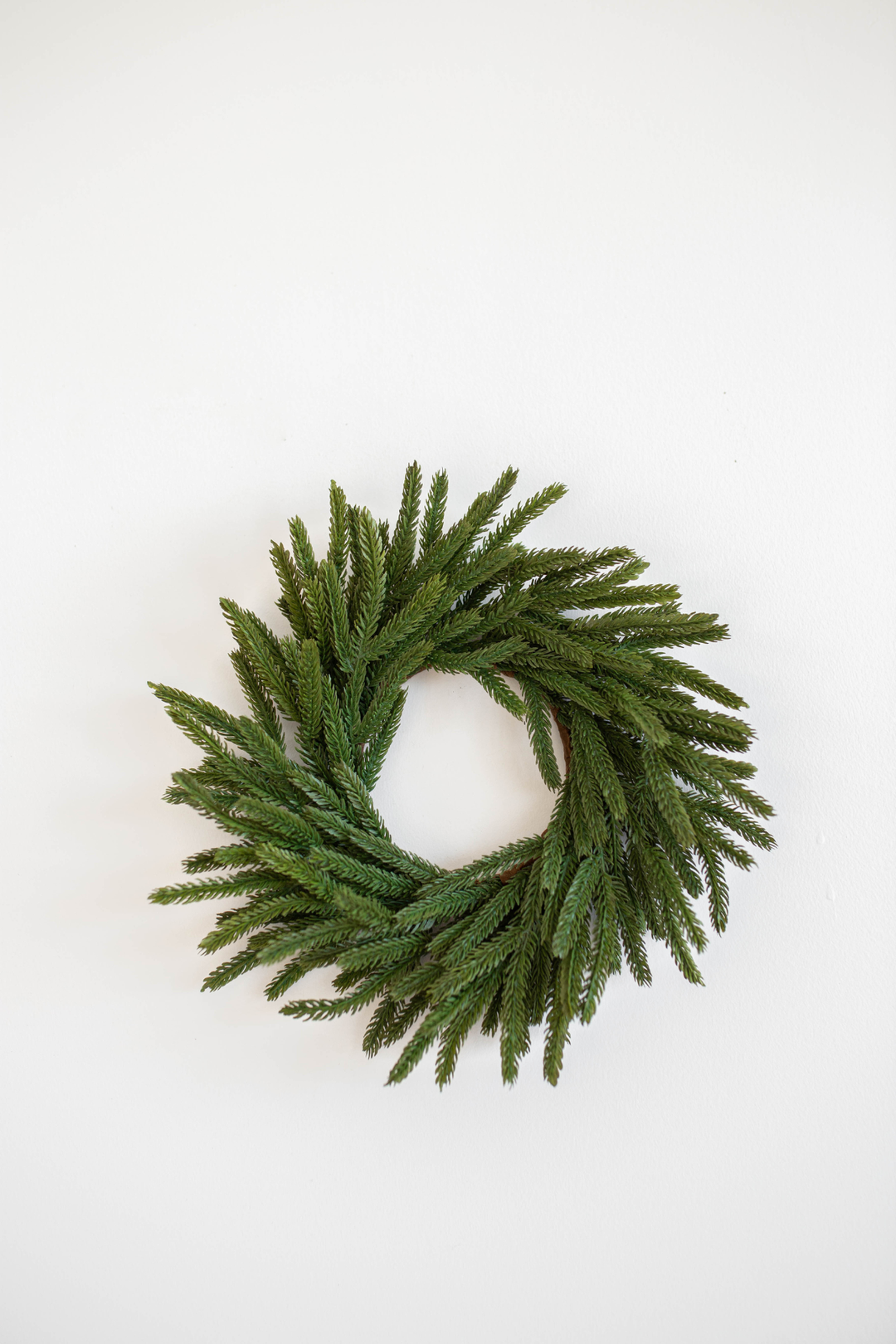 Norfolk Pine Wreath 12"