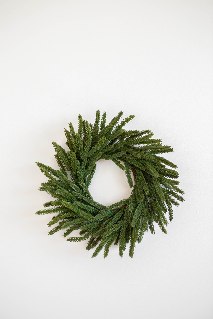 Norfolk Pine Wreath 12"