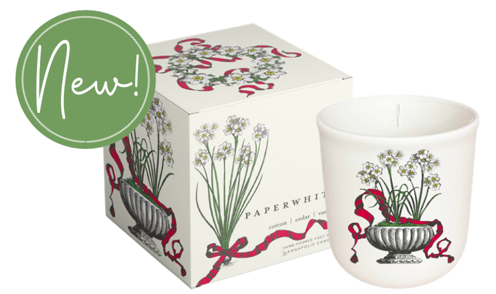 Paperwhite Boxed Candle