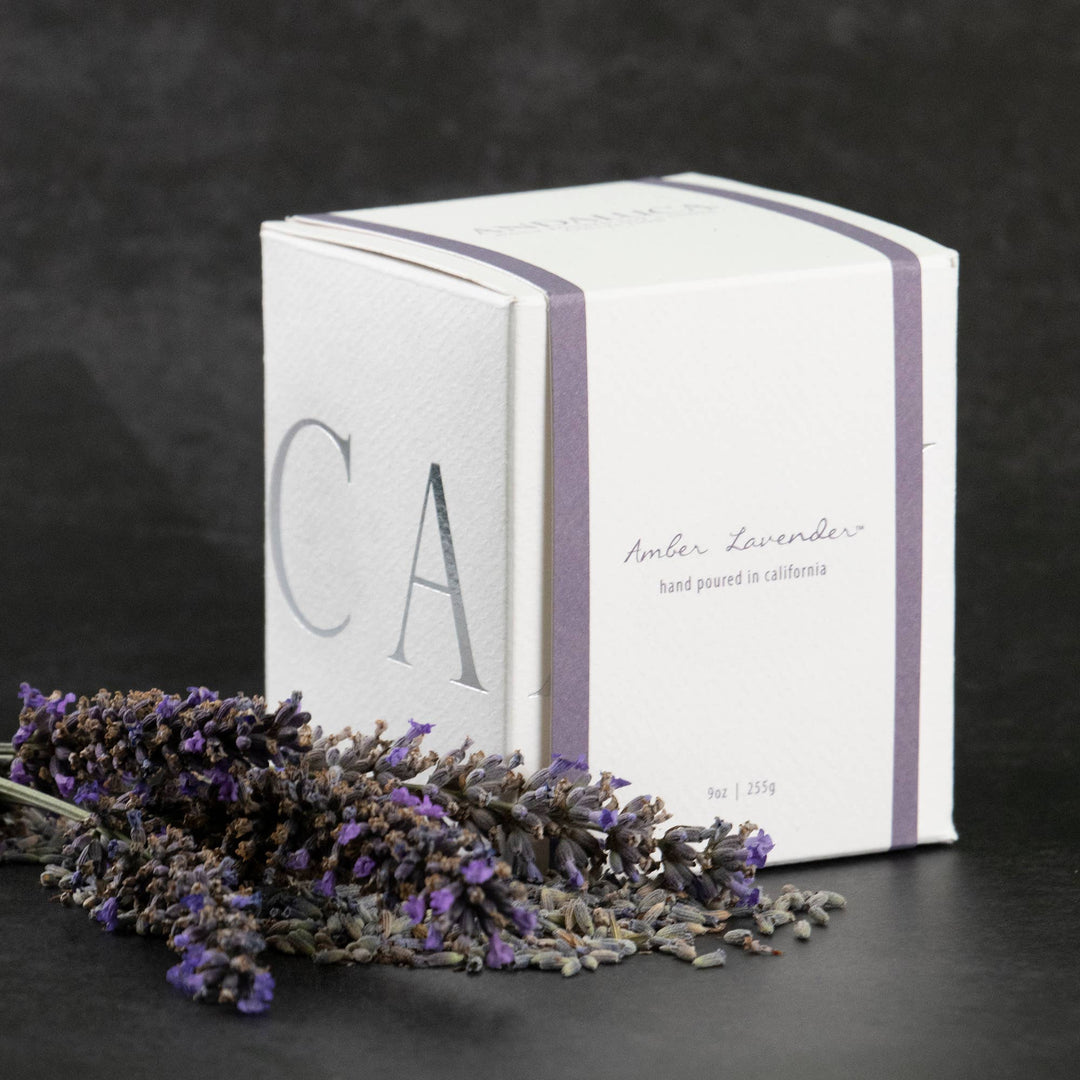 Amber Lavender Candle