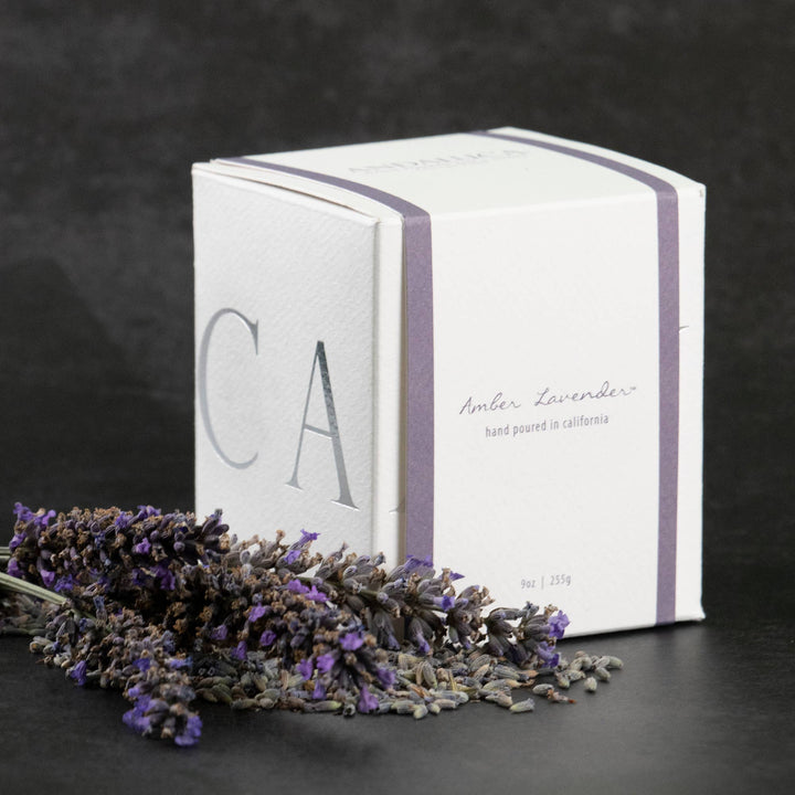 Amber Lavender Candle