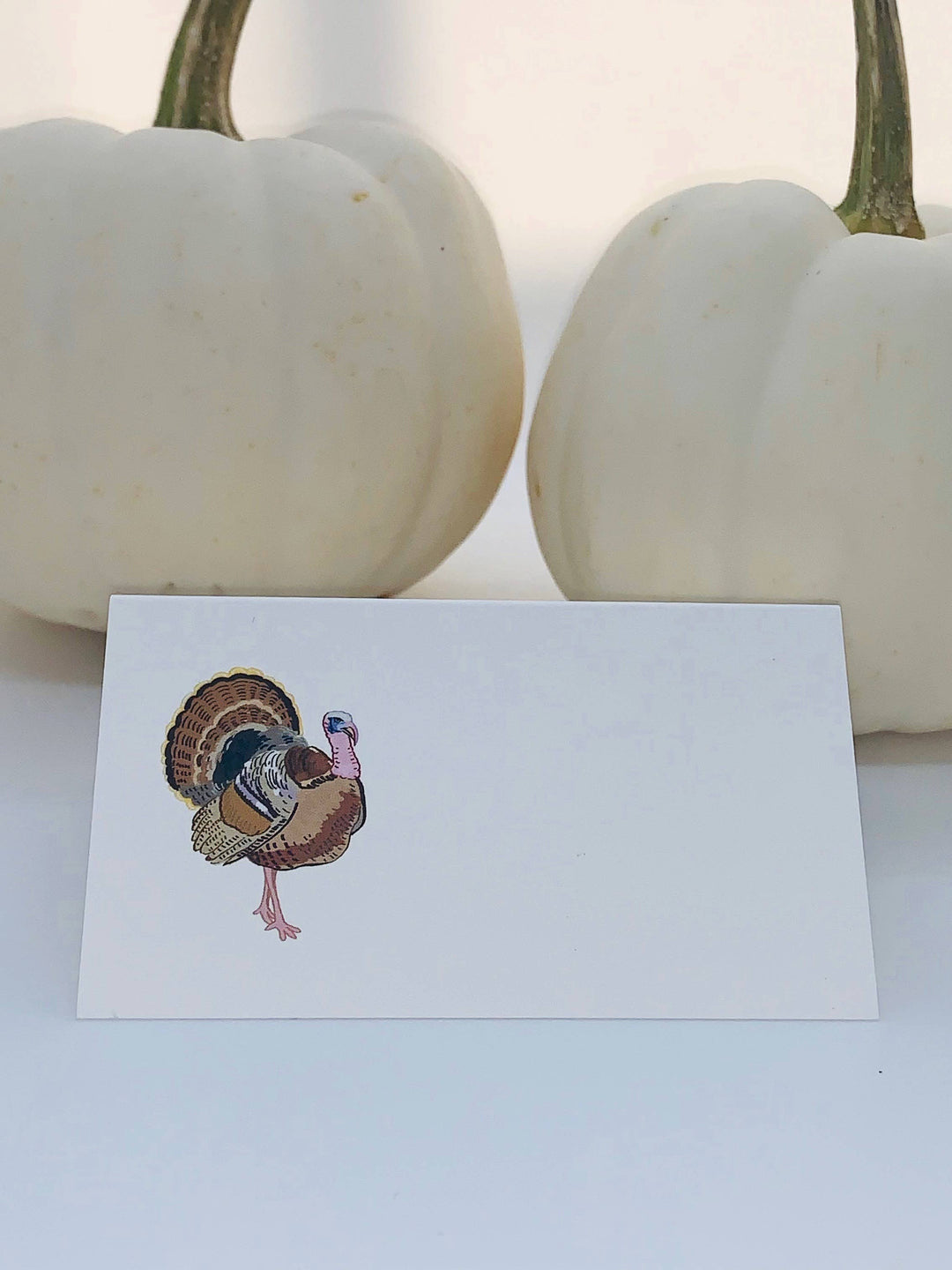 Turkey Place Cards S/8