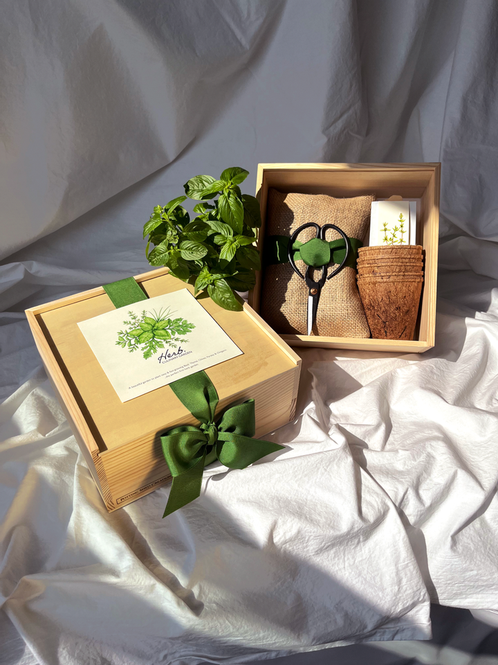 Herb Garden Box