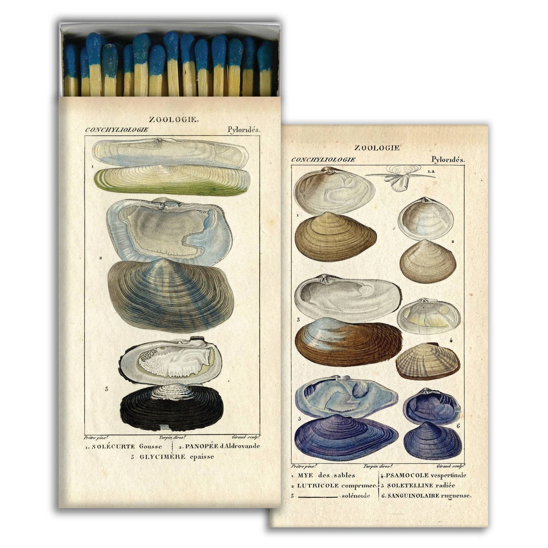 Matches, Seashell Specimens