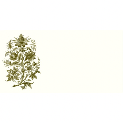 Floral Tapestry Monarch Notes | Alexa Pulitzer