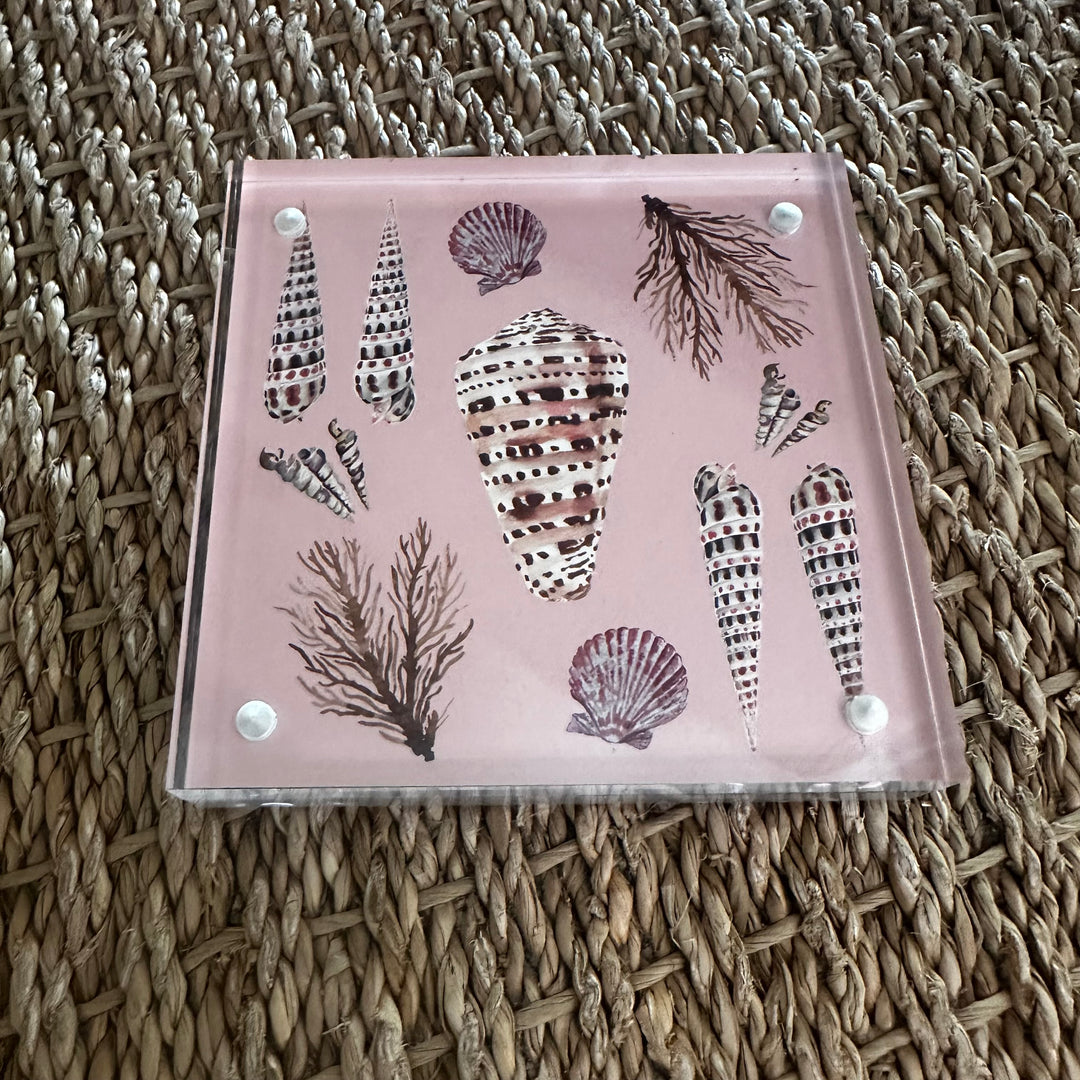 Shell Art in Acrylic Block by Kara McKean