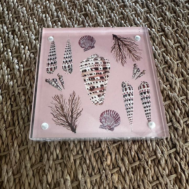 Shell Art in Acrylic Block by Kara McKean