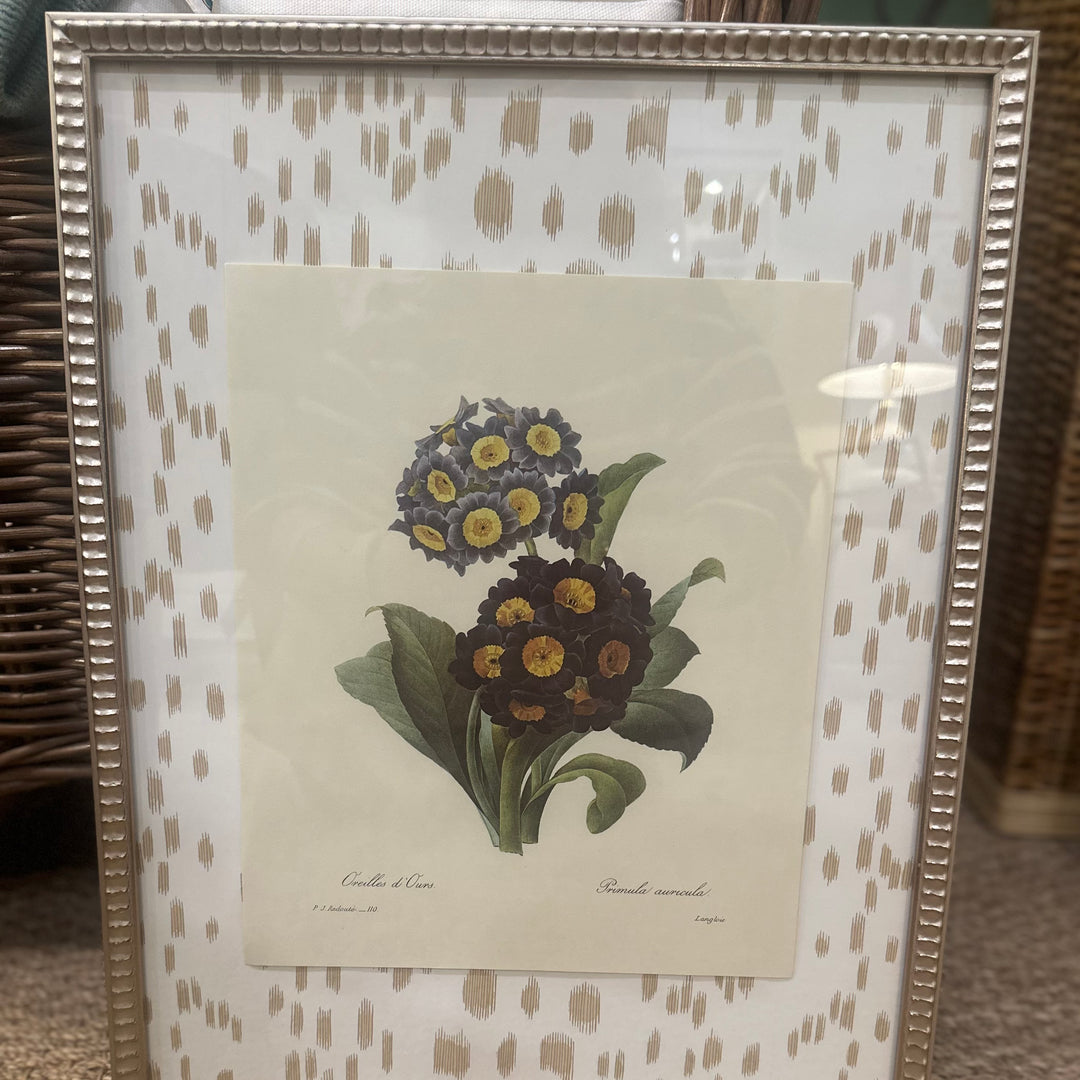 Framed Botanical Print with Brunschwig and Fils Matting
