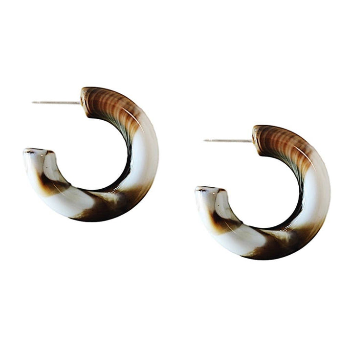 Chunky Lucite Hoop Earrings