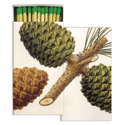 Matches, Pinecones