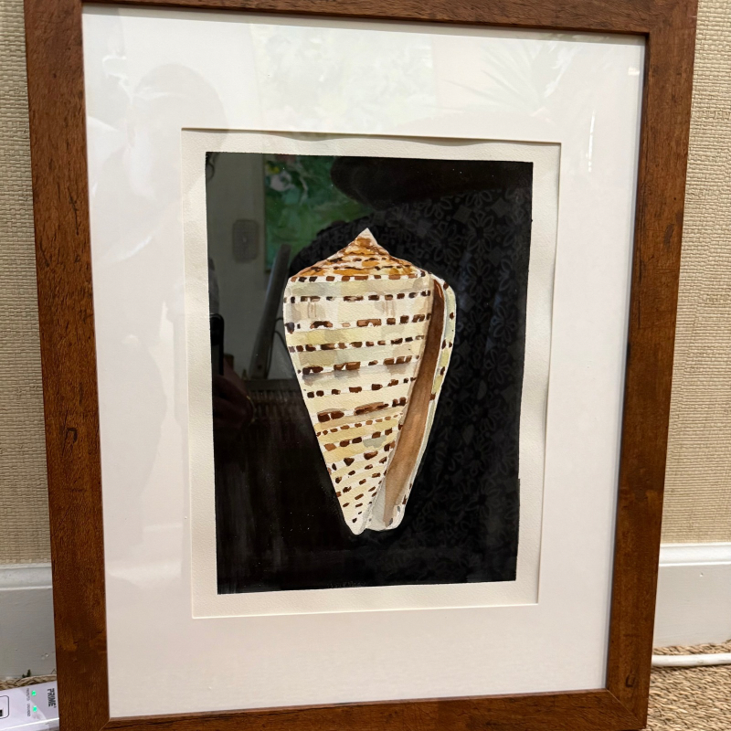 Original Black Shell Artwork by Kara McKean, Framed