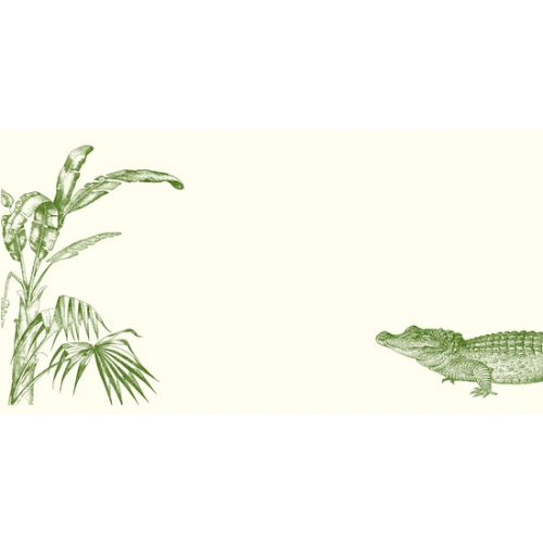 Swampy Gator Notecards, S/10 | Alexa Pulitzer