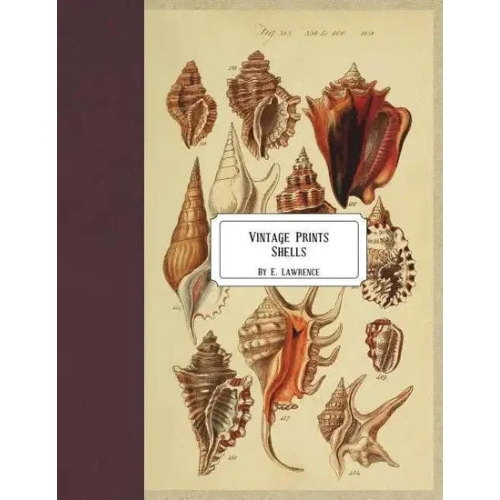 Vintage Prints: Shells