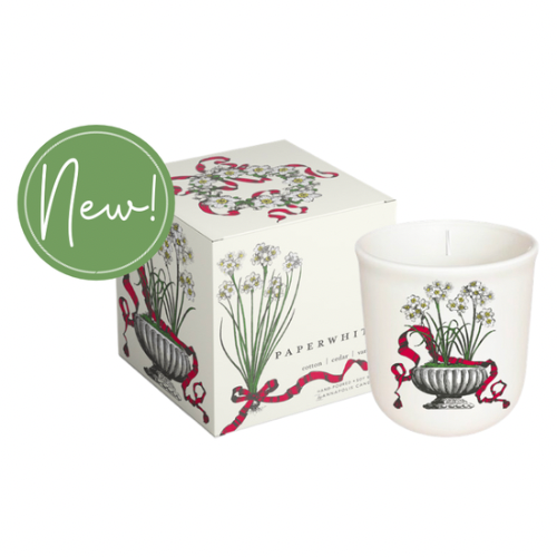 Paperwhite Boxed Candle