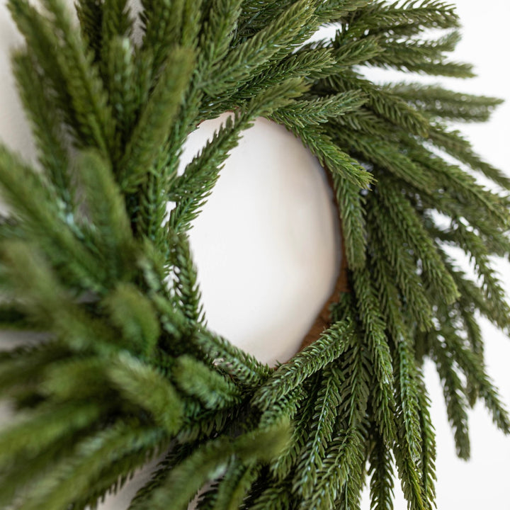 Norfolk Pine Wreath 12"
