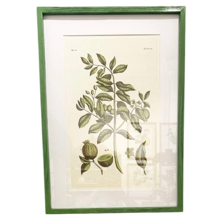 Leaf Framed Prints, S/2