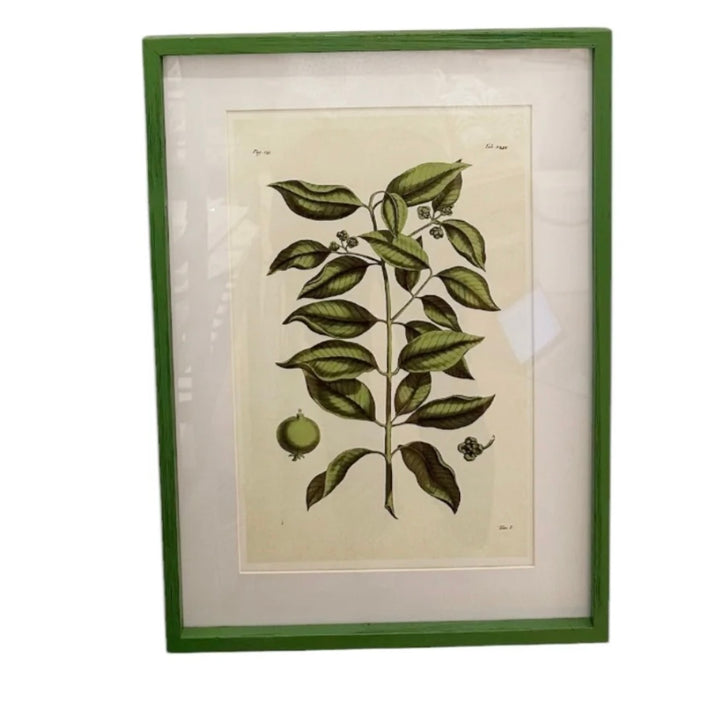 Leaf Framed Prints, S/2