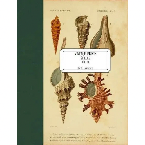 Vintage Prints: Shells Vol. 9