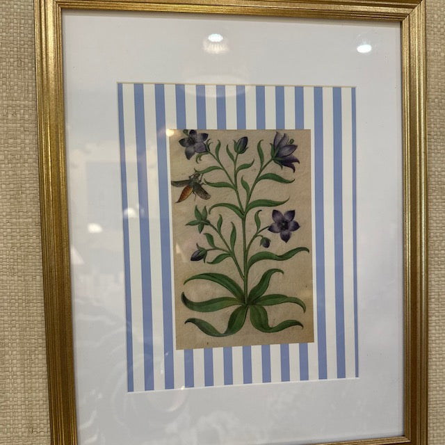 Botanical Striped Print, Framed