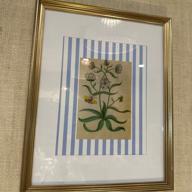 Botanical Striped Print, Framed
