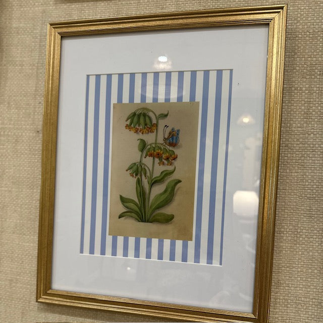 Botanical Striped Print, Framed