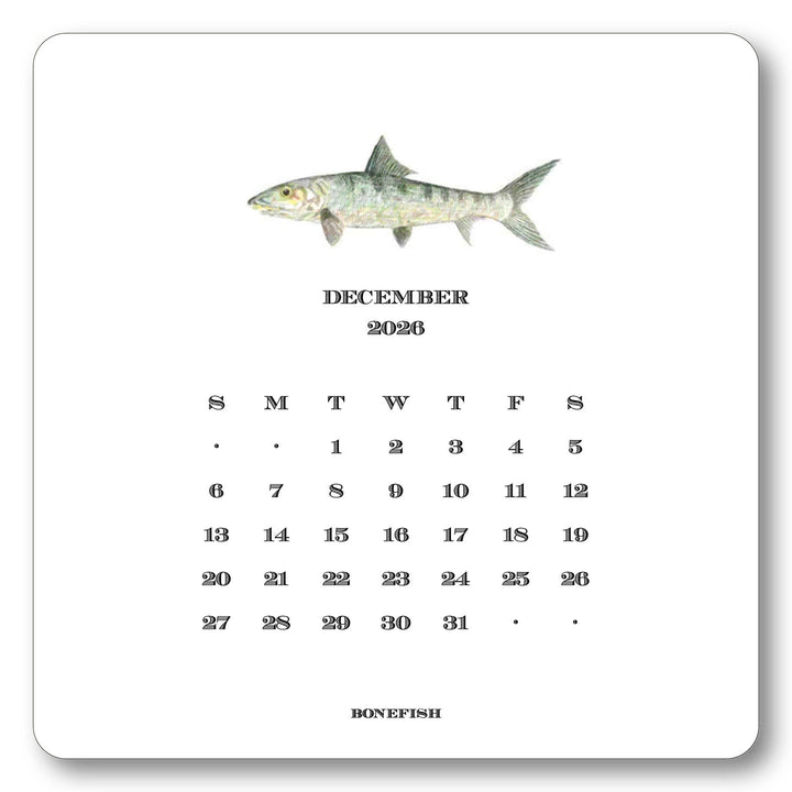 2026 Saltwater Fish Calendar with Easel