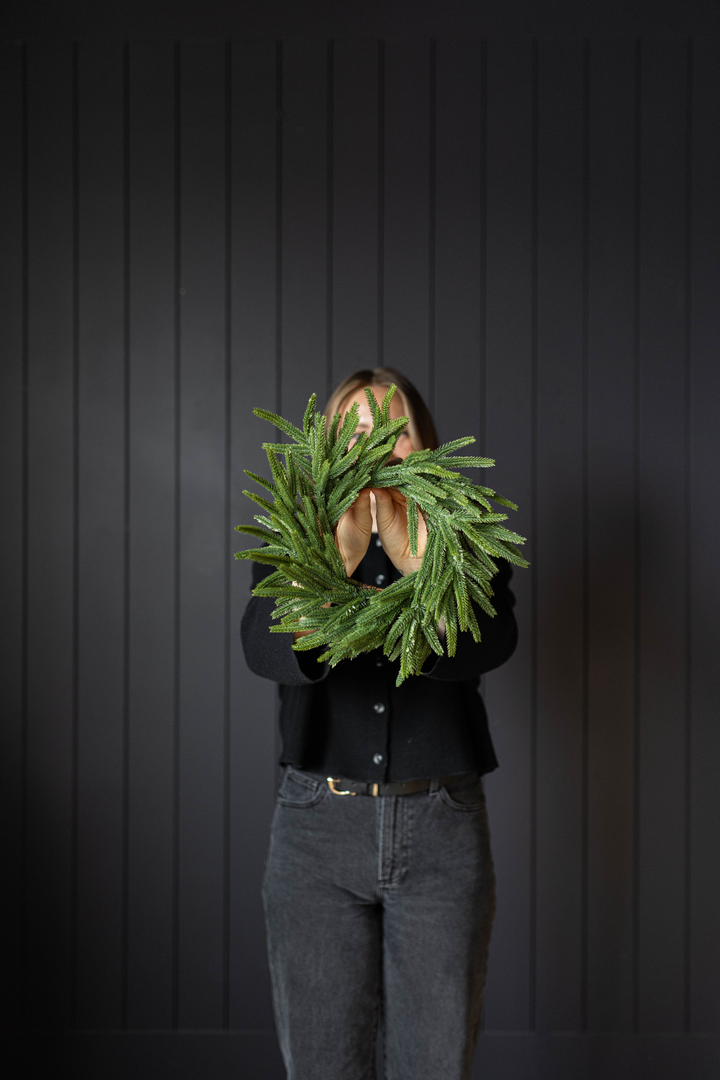Norfolk Pine Wreath 12"