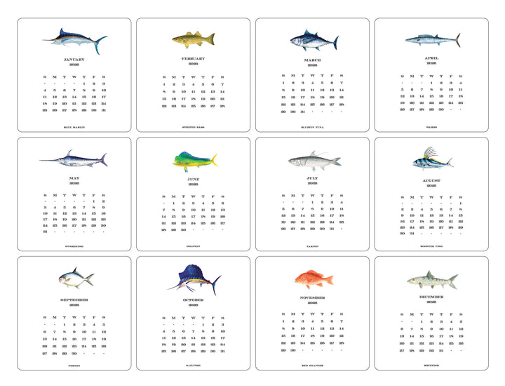 2026 Saltwater Fish Calendar with Easel