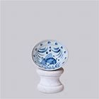 Blue and White Porcelain Carp Dish