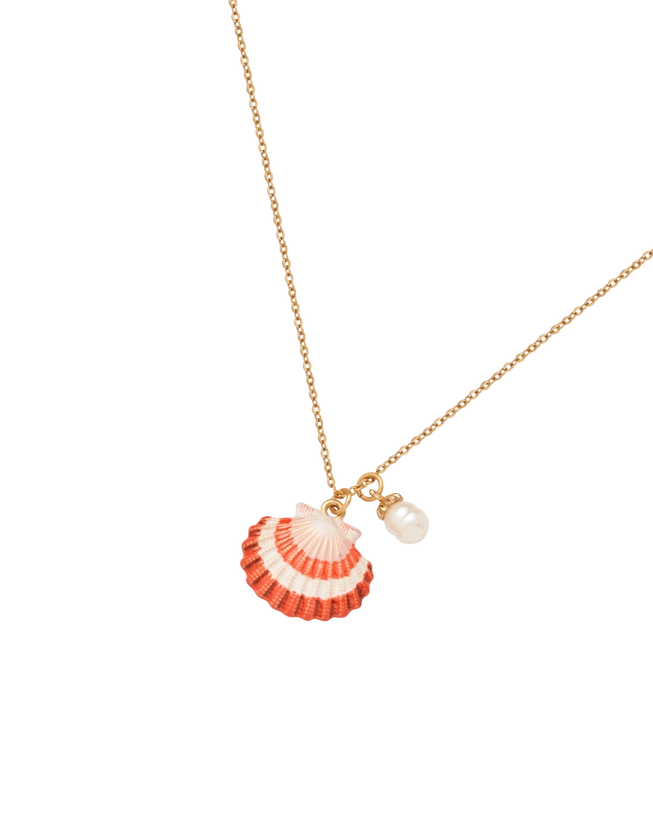 Clam Shell and Pearl Short Necklace| Fable England