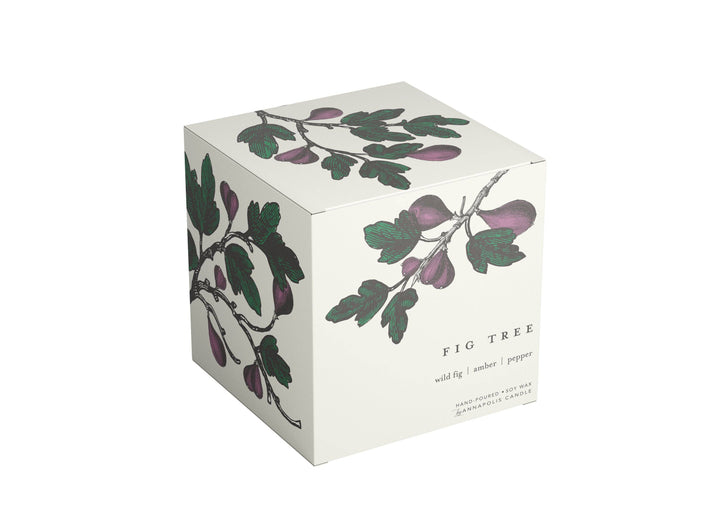 Fig Tree Terrace Collection Candle