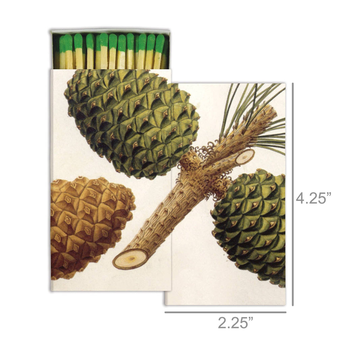 Matches, Pinecones