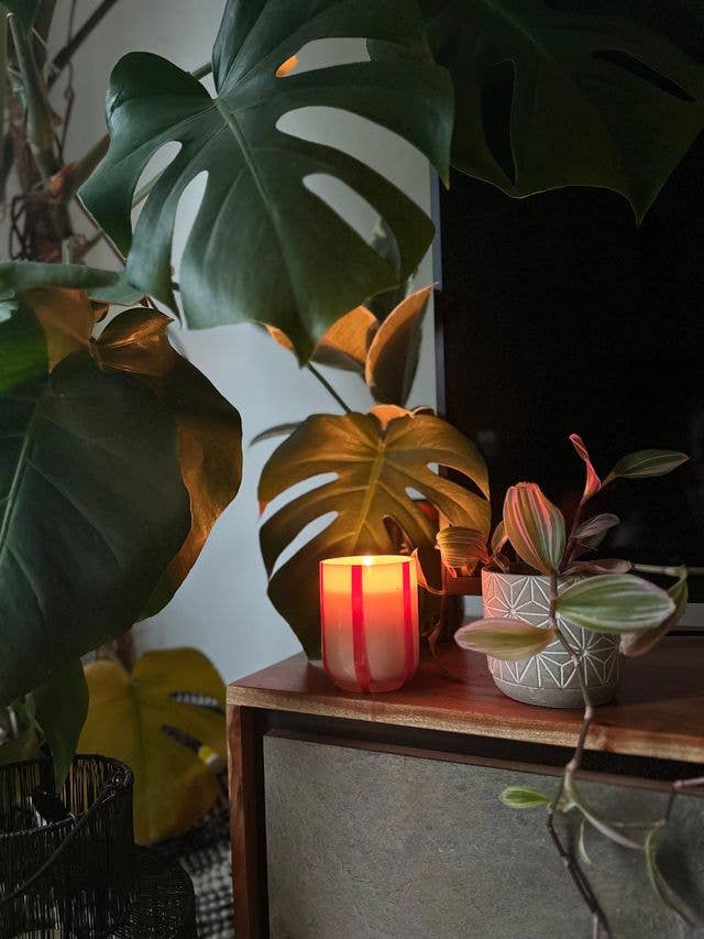 Atina Candle, Orange Blossom & Basil